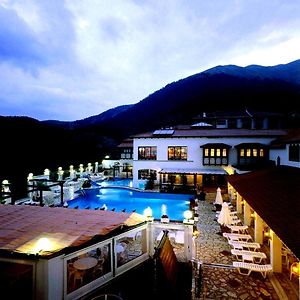 Hotel Spa Montana